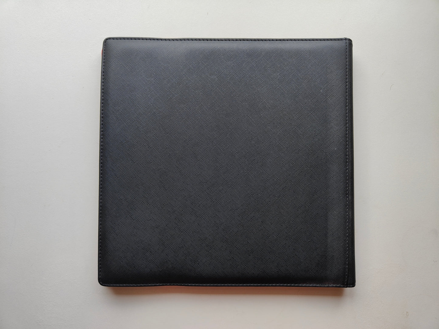 Dex Protection 12-Pocket Binder