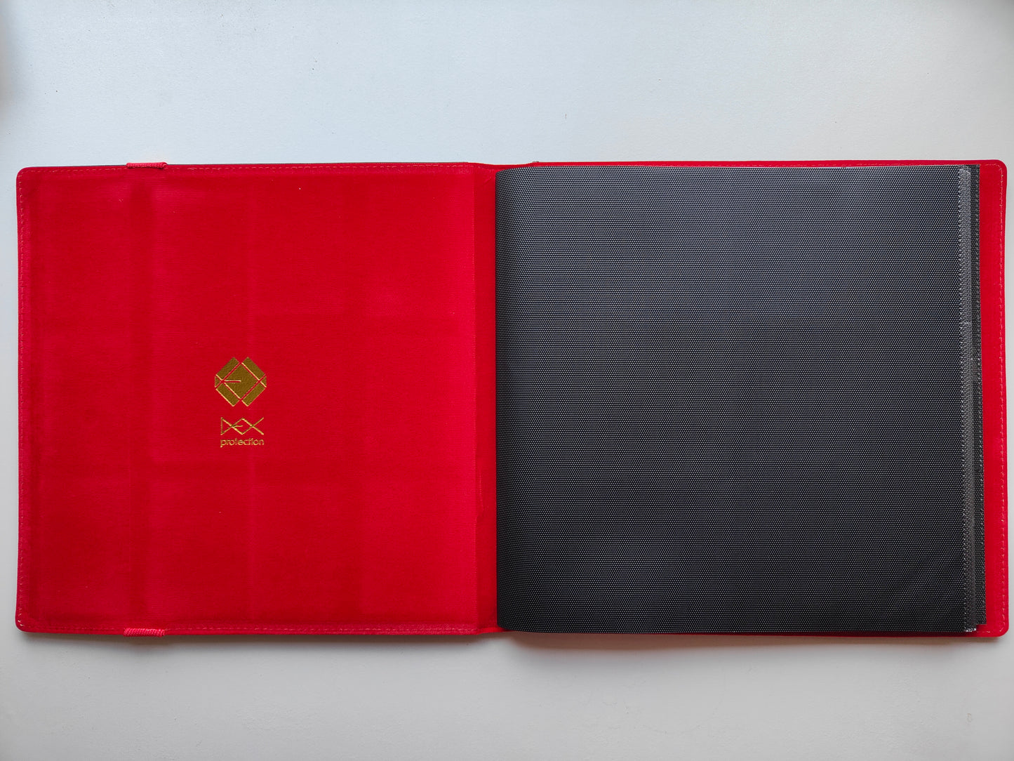 Dex Protection 12-Pocket Binder