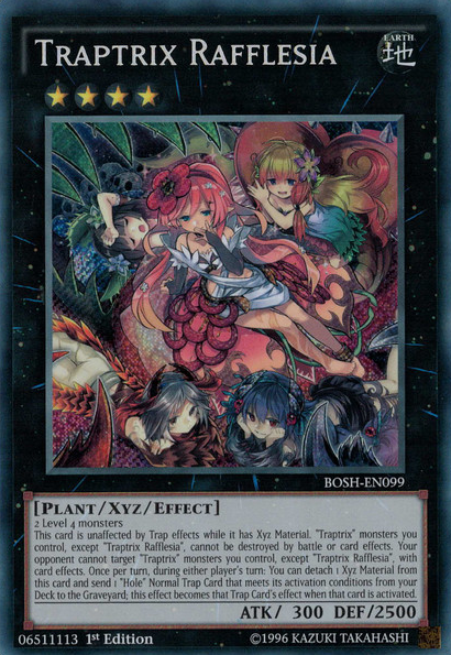 Traptrix Rafflesia