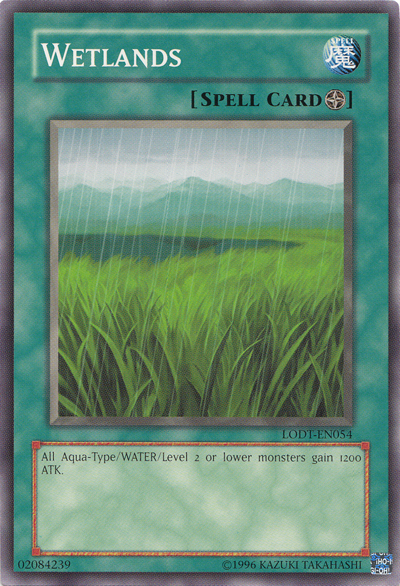 Wetlands (2020 Date Reprint)